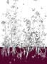 4479_6_edmont_petit_fenouil_sauvage_rm108-03_aubergine-53934