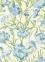 17046_3_Harlequin_Fleur_de_Joie_HRTW113134-144083
