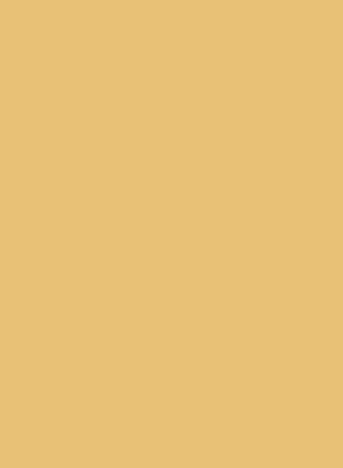 Parasol 508