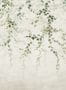 16150_1_Coordonné_Vine_Shadow_B00359-134396