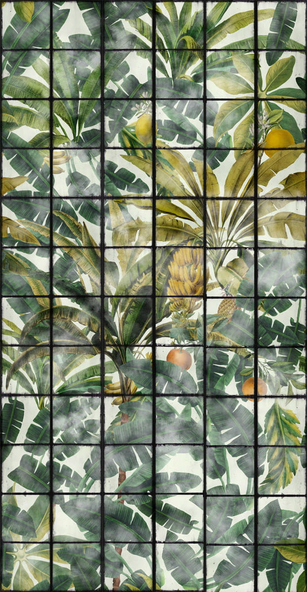Tapete Orangerie - WP20176