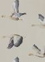 4081_4_sanderson_elysian-geese_216611-31786