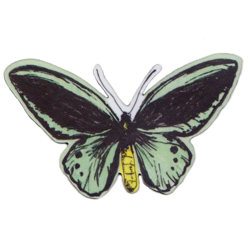 Magnet Green Butterfly