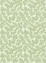 7621_3_Harlequin_Zori_112934-96455