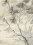 14833_4_Jannelli_and_Volpi_Sagimai_6013-130947