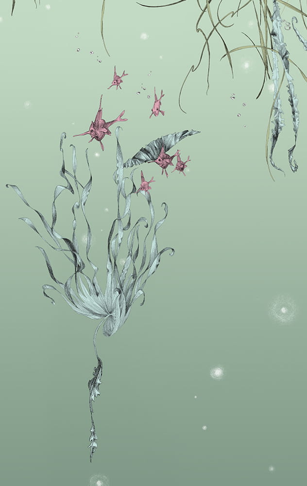 Tapete Nautilus/ Méduses/ Nénuphars - Nénuphars droit - Aqua