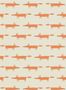2537_2_scion_little_fox_110841-25908