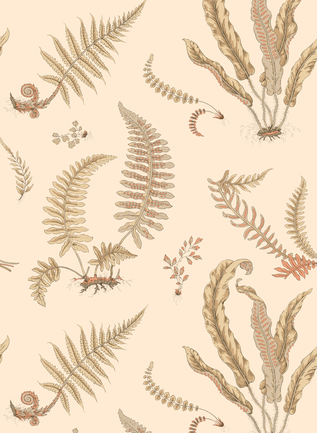 Tapete Ferns - Parchment