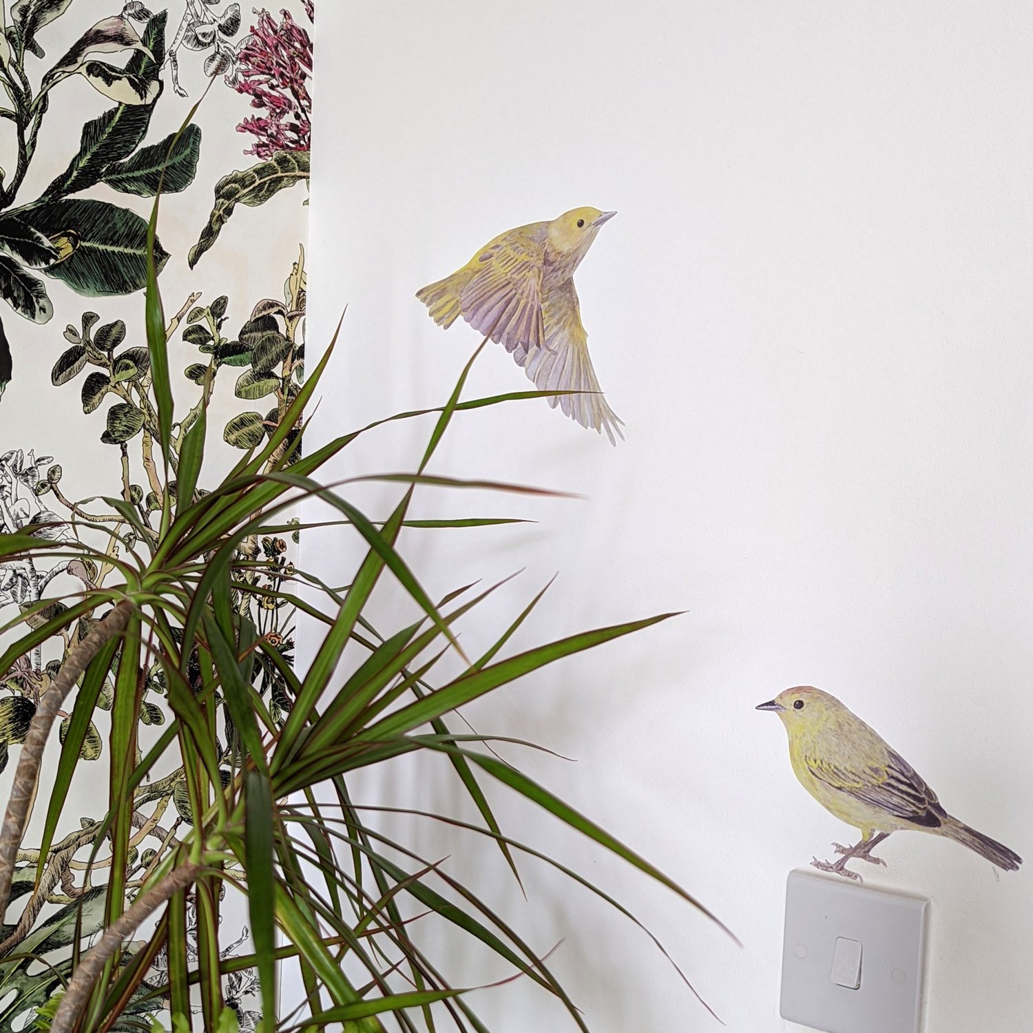 Wandsticker Warbler Bird - Yellow