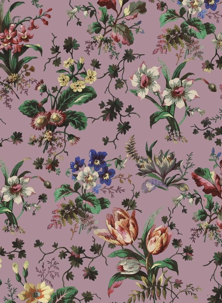 Tapete Tulipa - Tourmaline