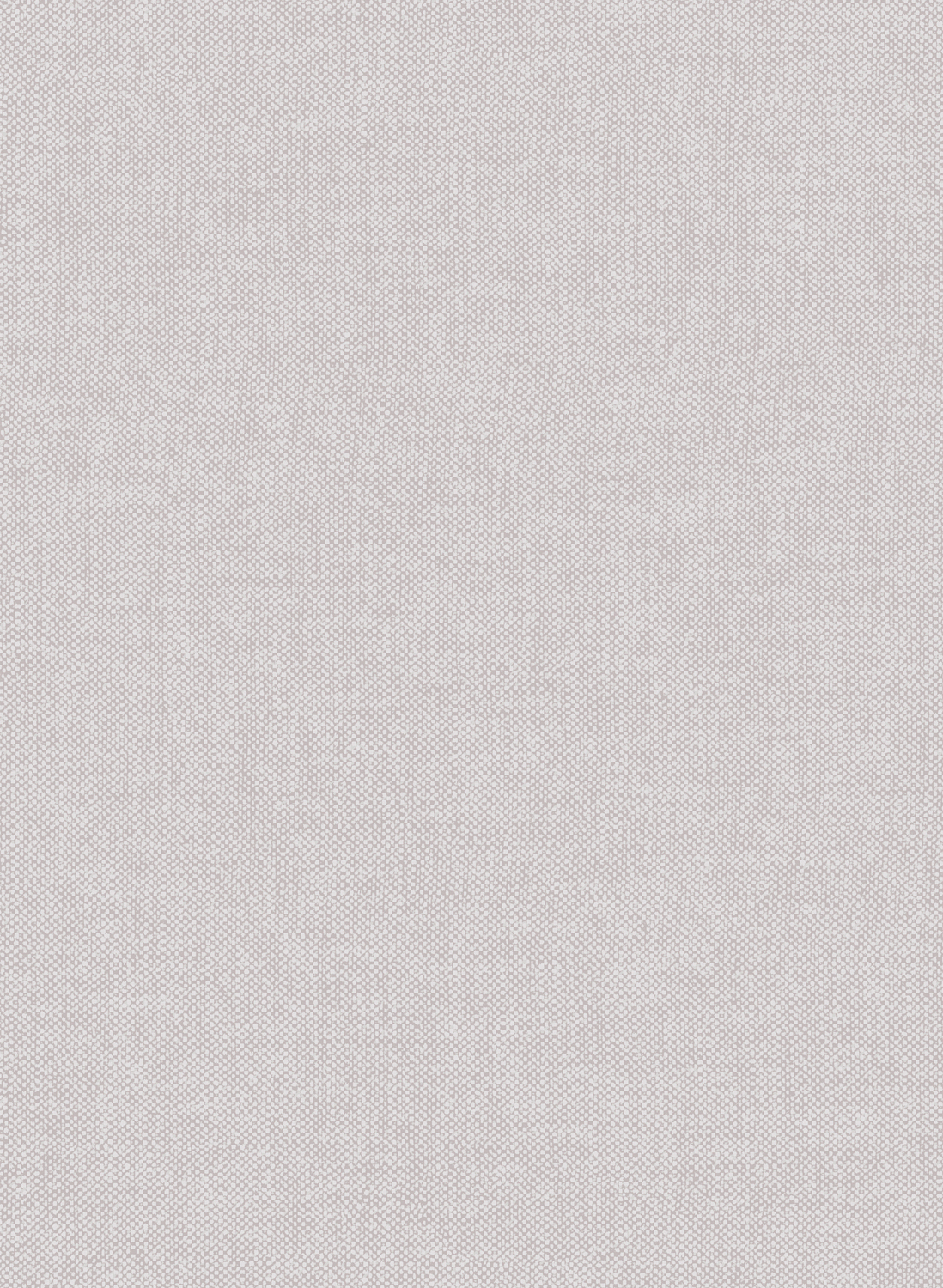 Tapete Lin - Gris Brouillard