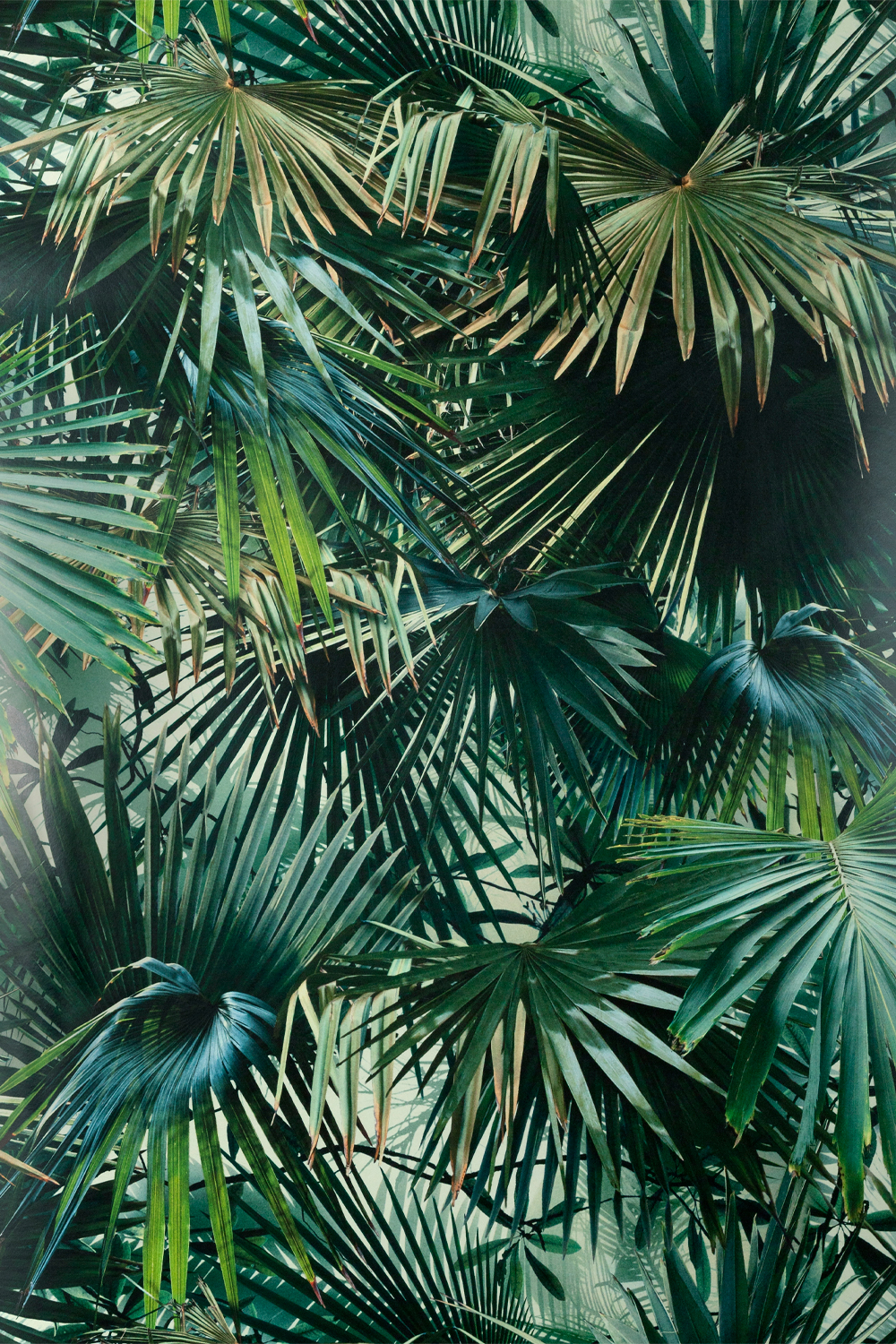 Tapete Polynesie - Emeraude