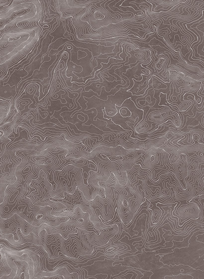Wandbild Elevation Lines - Mud