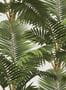 3222_1_mindthegap_jardin-tropical_wp20104-28732