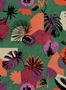 18142_01_Tres_Tintas_Tropicalia_BS5306-1-179582
