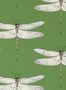 2224_8_Harlequin_Demoiselle_HRTW113143-144075