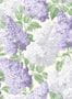 4064_2_cole-and-son_lilac_115-1004-31715