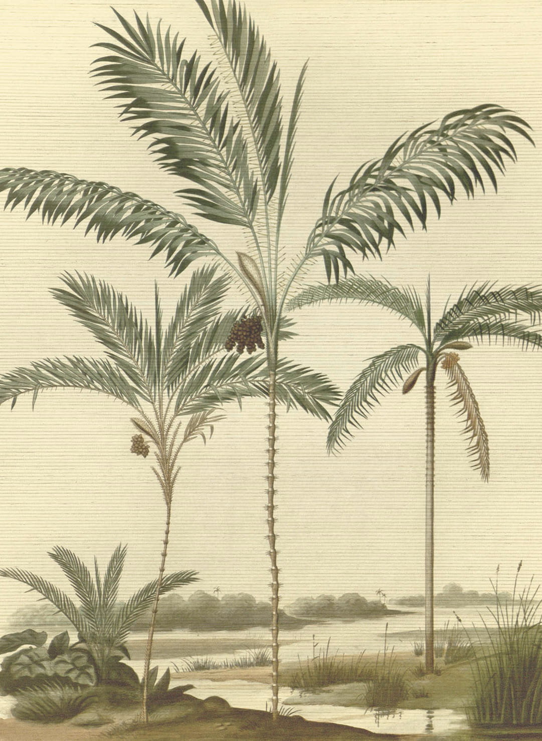 Wandbild Palm Portrait - Natural