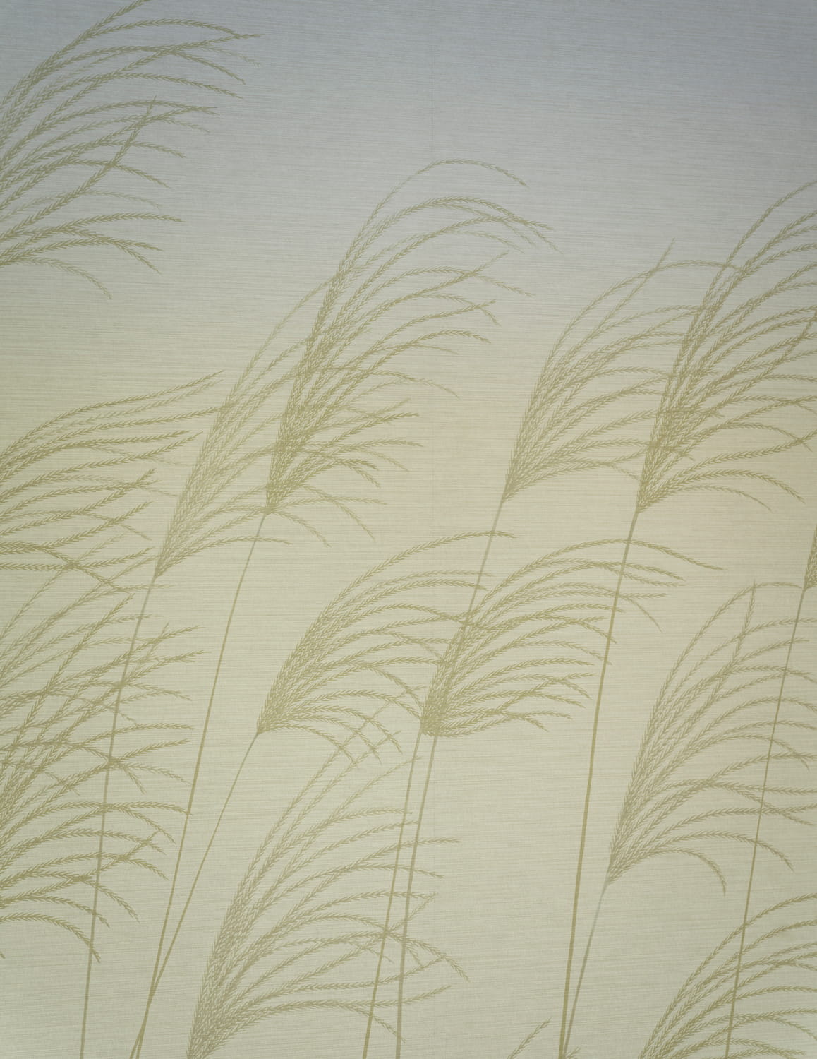 Wandbild Miscanthus - Buttermilk/ Sky