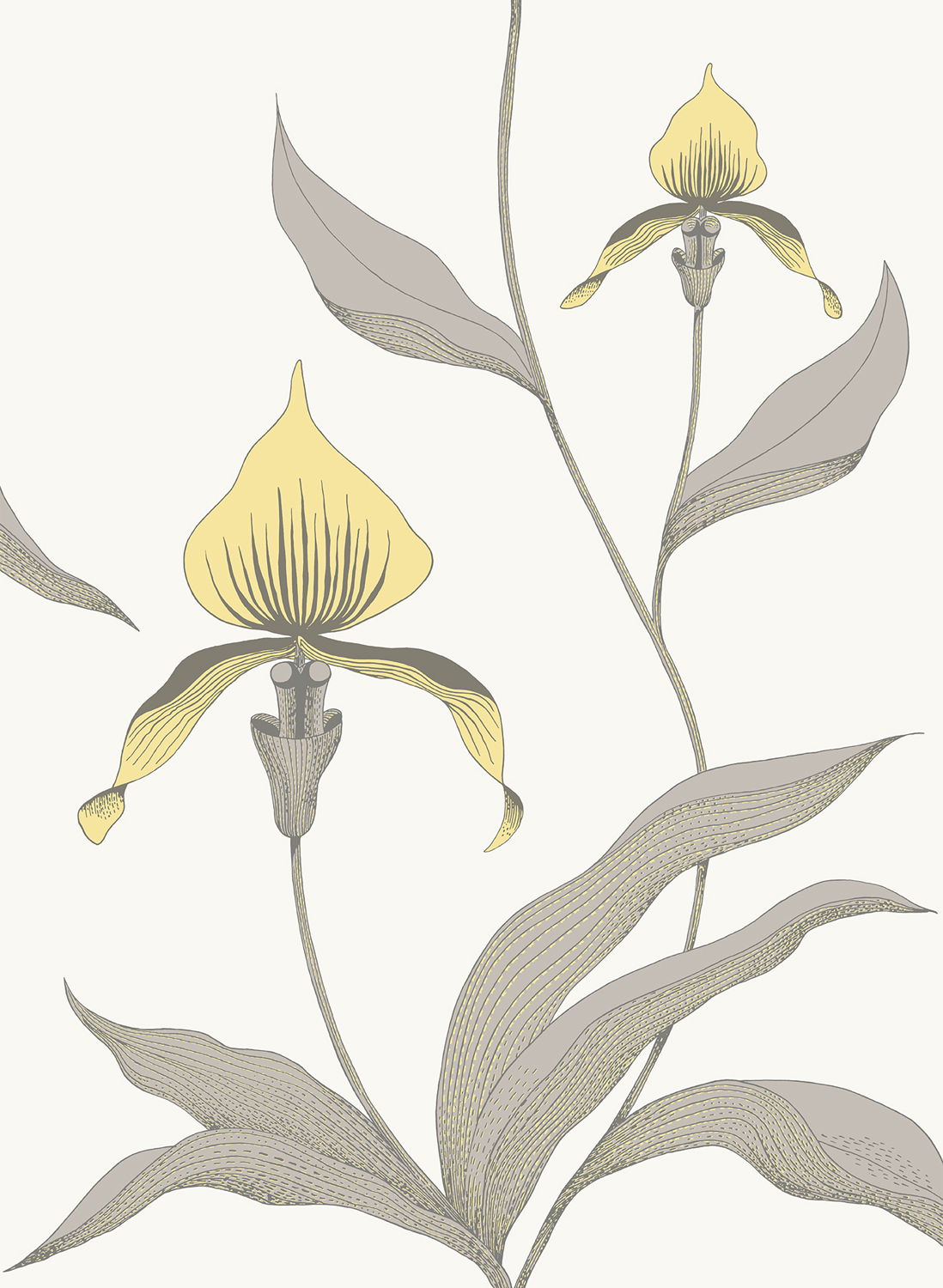 Tapete Orchid - Yellow on White
