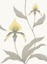 1470_4_Cole_and_Son_Orchid_95-10057-87286