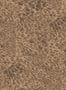 15407_03_House_of_Hackney_Ferus_1-WA-FRU-DI-ALA-XXX-188181