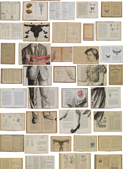 Tapete EKA-04 Bibliotheca - EKA-04