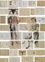 2121_1_nlxl_bibliotheca_wallpaper_eka-04-24148