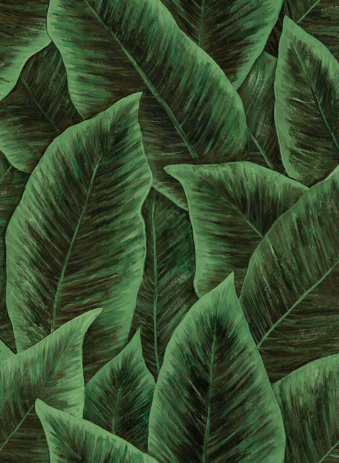 Tapete Bird Of Paradise - Emerald