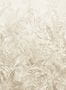 16373_01_Eijffinger_Linen_Leaves_350703-155497