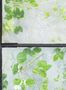 17679_01_NLXL_Greenhouse_ERG-01-163975