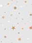 6654_2_Rebel_Walls_Stardust_R18546-81980