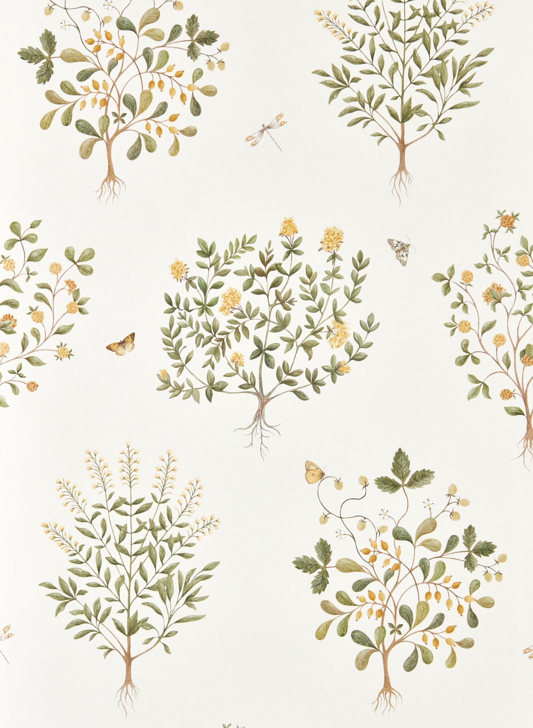 Tapete Thyme Walk - Lichen & Gooseberry