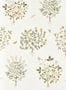 16416_01_Sanderson_Thyme_Walk_217508-159641