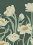 17816_01_Boråstapeter_Astrid_Wilson_Buttercup_9566W-176106