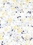 16200_1_Coordonne_Salines_8400080-143408