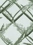 14968_02_Mindthegap_Ornamental_Reed_WP30162-139795