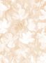17586_03_Jannelli_and_Volpi_Bronte_41160-154719