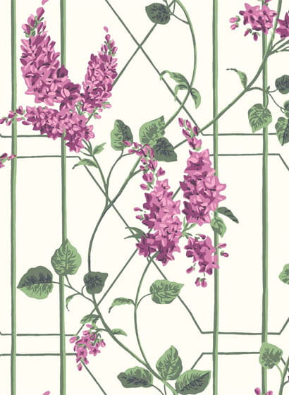 Tapete Wisteria - Magenta/ Leaf Green