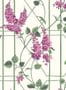 4074_4_cole-and-son_wisteria_115-5013-31755