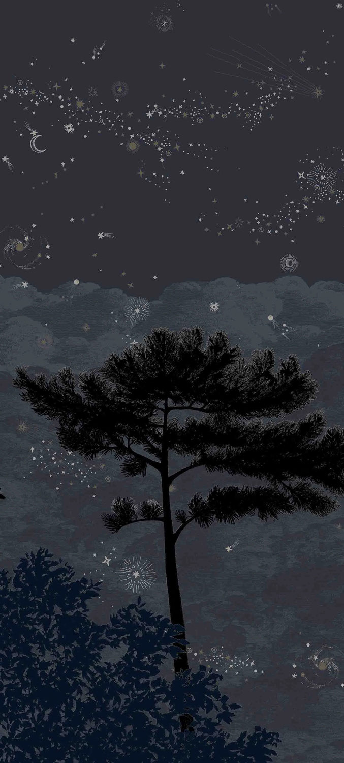 Wandbild Eclipse Nocturne - Panel A