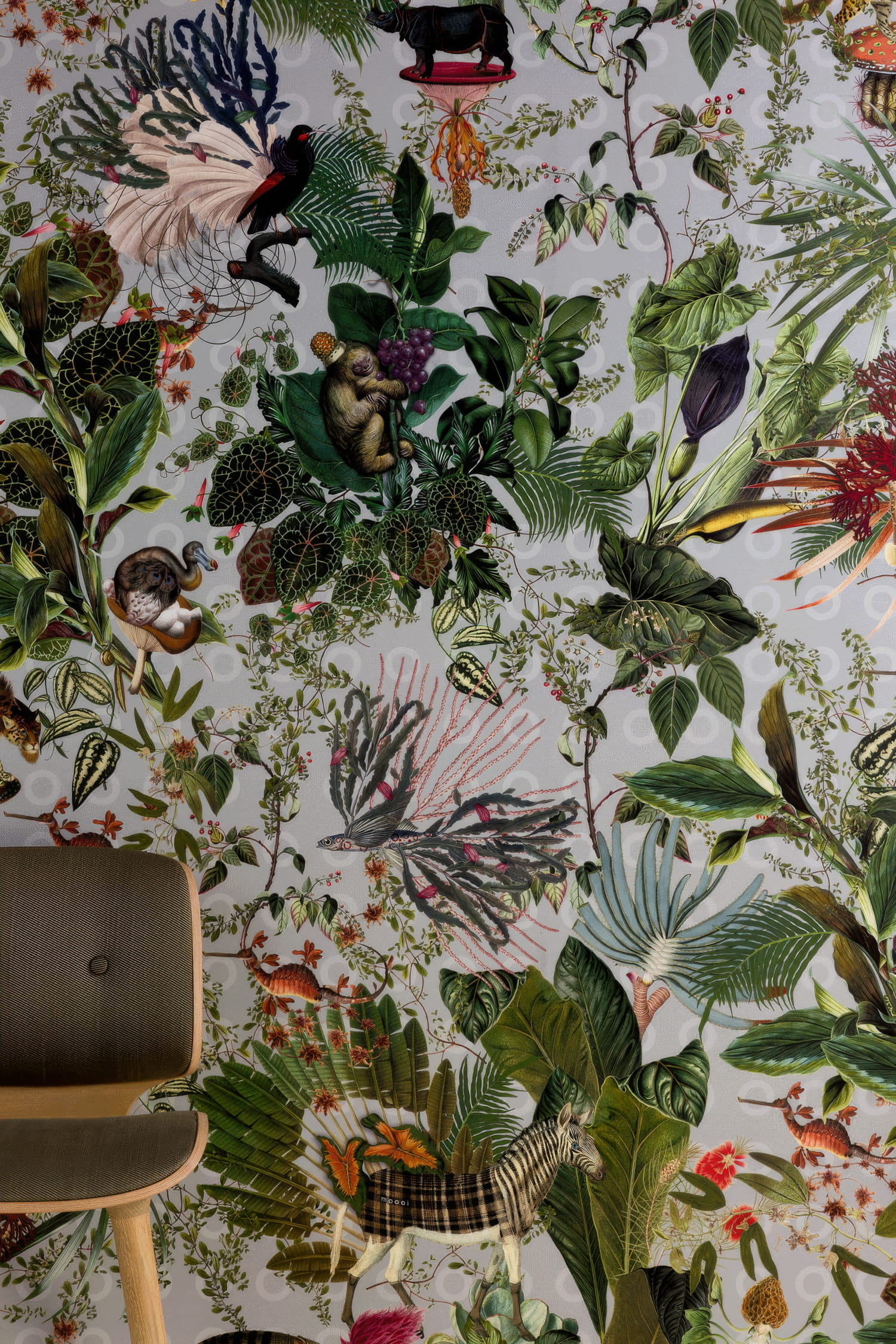 Moooi for Arte