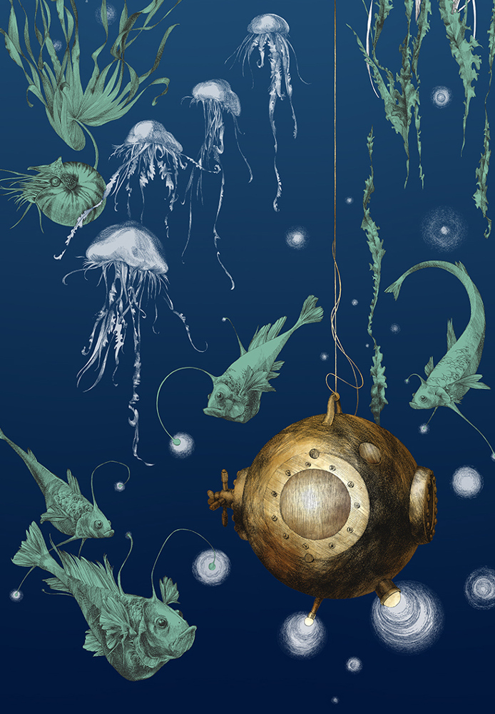 Tapete Nautilus/Méduses/Nénuphars - Marine - Nautilus droit - Marine