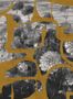 16618_03_Tres_Tintas_Prehistoric_Flowers_M5005-3-178998