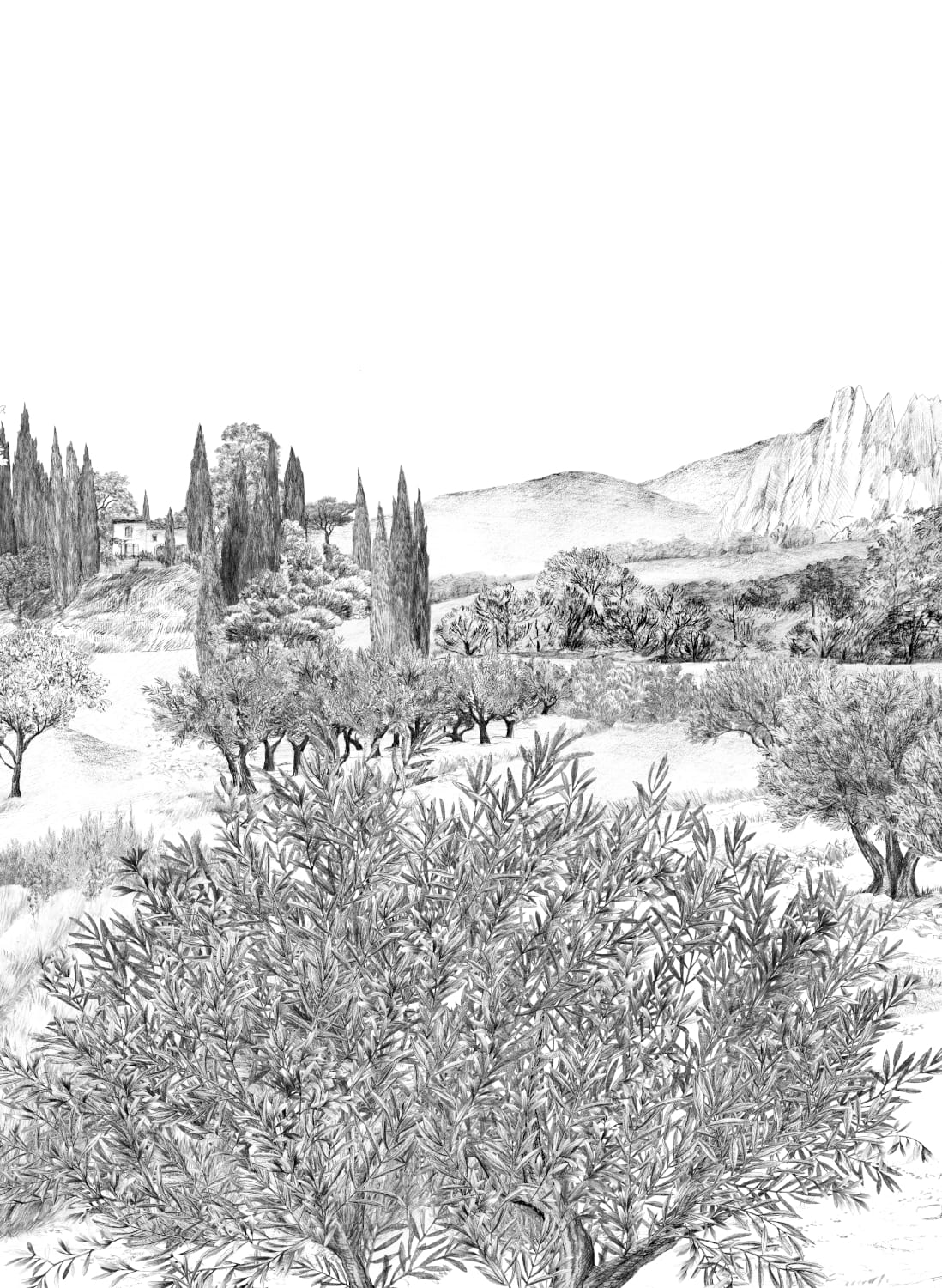 Wandbild Provence - Grisaille Panel E