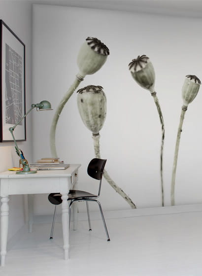 Wandbild Simple Seedpod