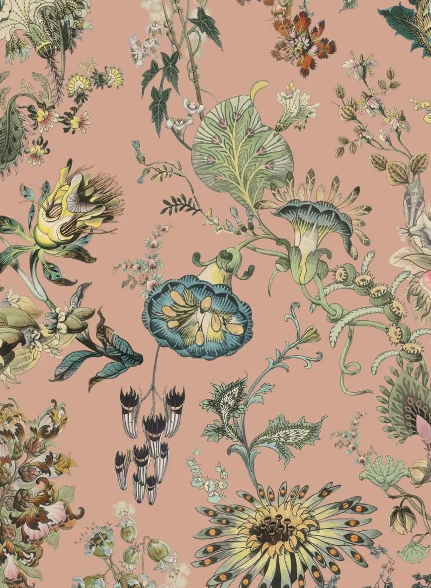 Wandbild Flora Fantasia - Bisque-Pink