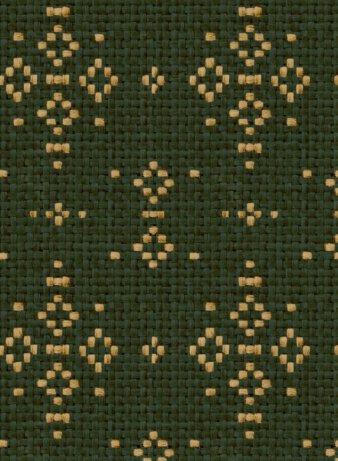 Tapete Mazahua - Cactus