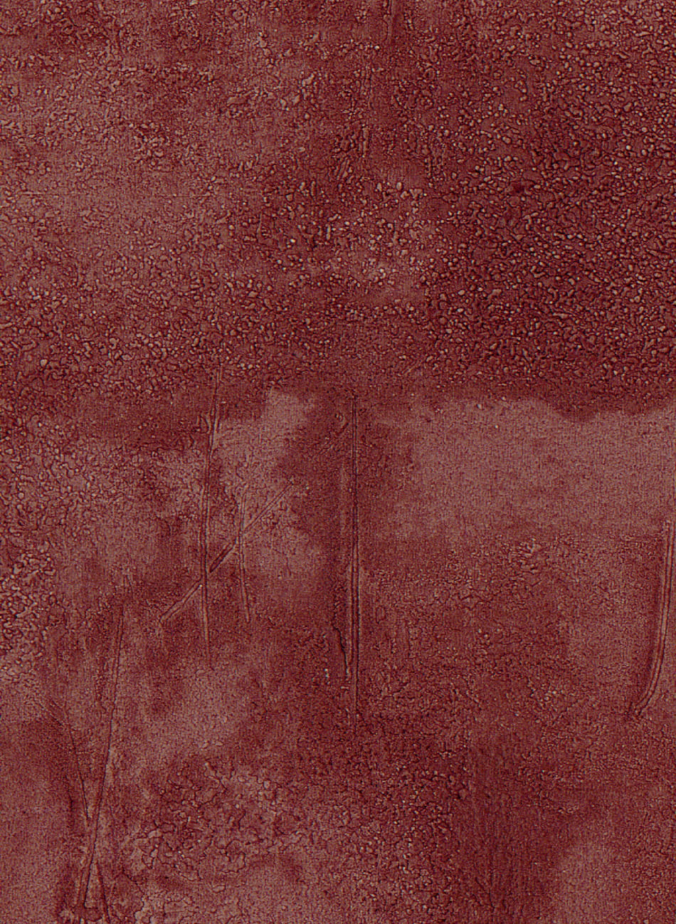 Tapete Agrigente - VP 960 31