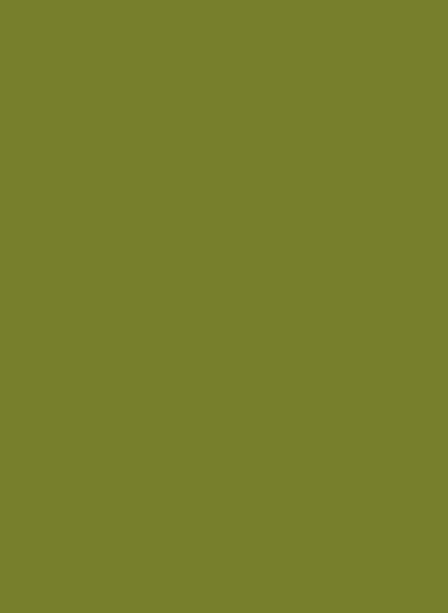 Intelligent Matt Emulsion - Citrine 71 - 2,5l